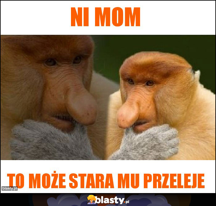 Ni mom