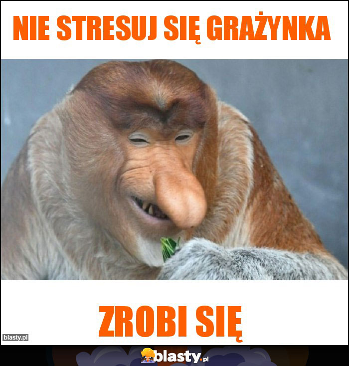 Nie Stresuj się grażynka