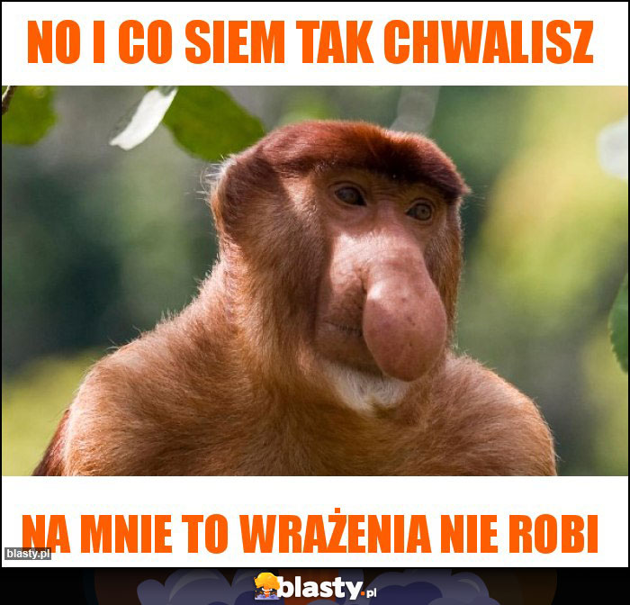 No i co siem tak chwalisz