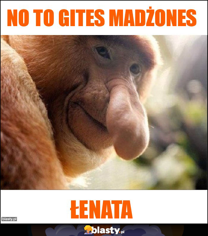 No to gites madżones