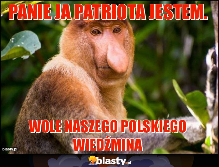 Panie ja patriota jestem.