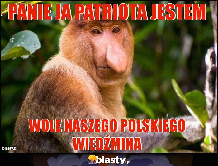 Panie ja patriota jestem