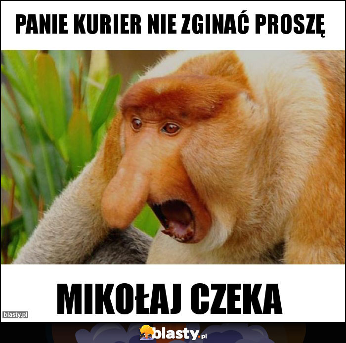 panie kurier nie zginać proszę