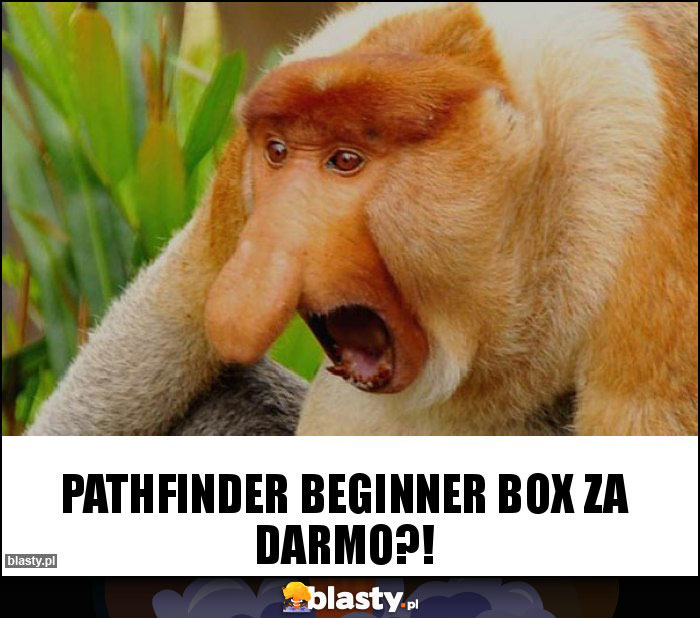 Pathfinder Beginner Box za darmo?!