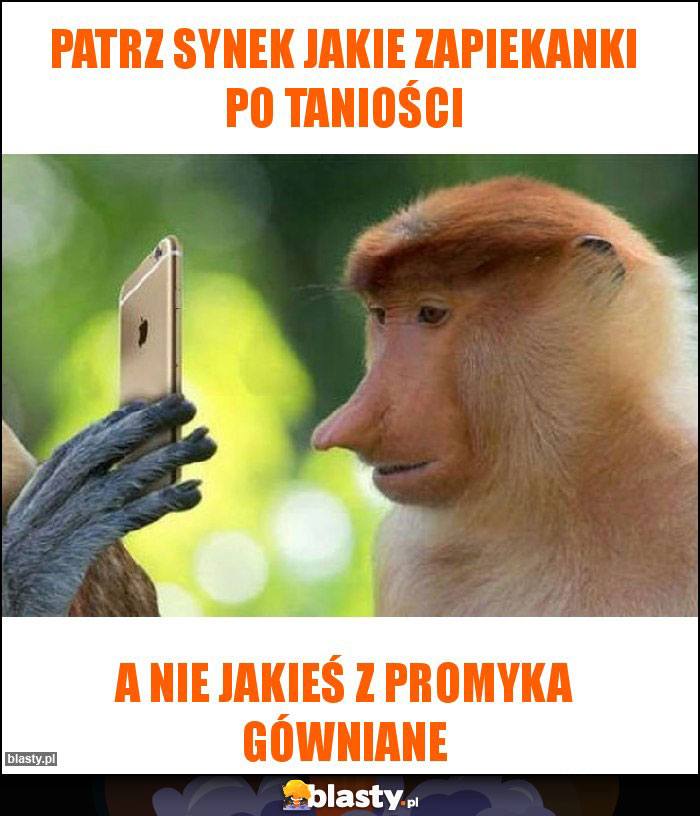 Patrz synek jakie zapiekanki po taniości