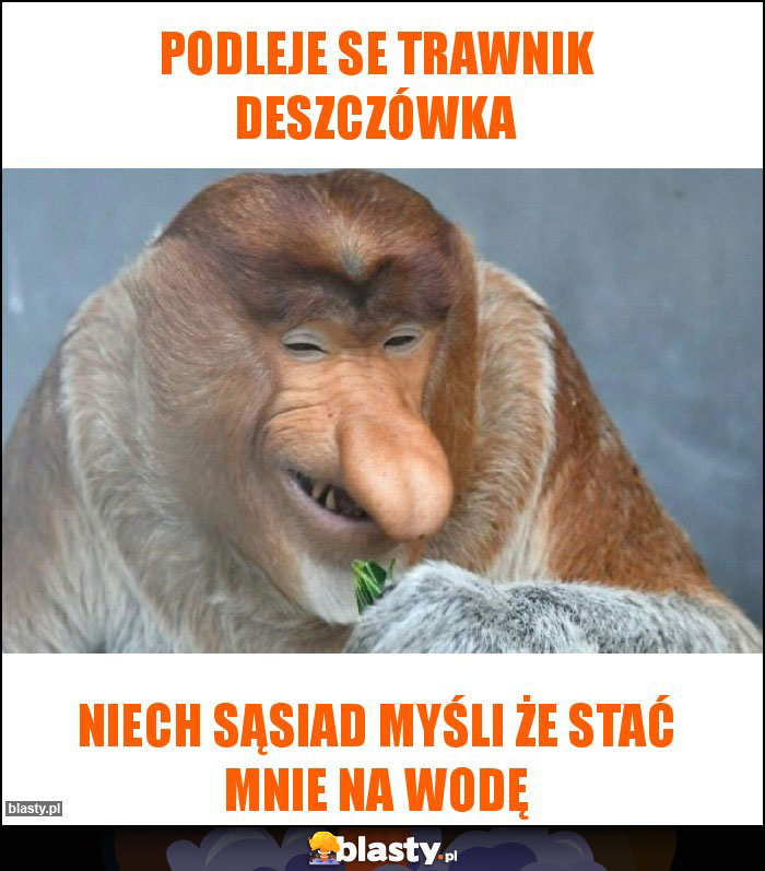 Podleje se trawnik deszczówka