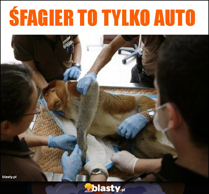 Śfagier to tylko auto