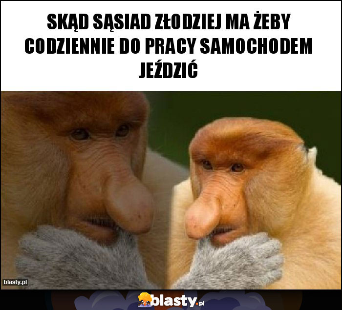 Skąd sąsiad złodziej ma żeby codziennie do pracy samochodem jeździć