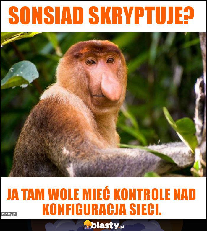 Sonsiad skryptuje?