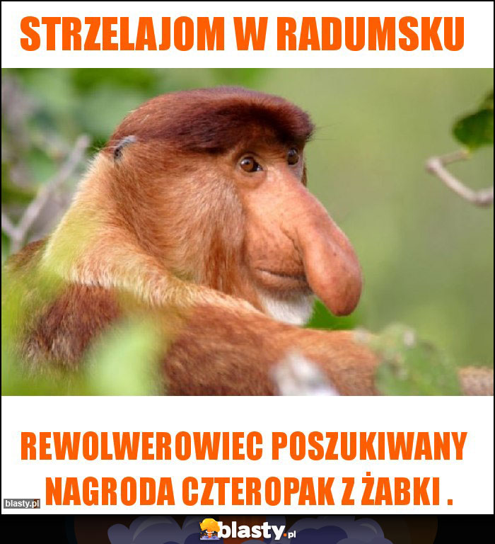 Strzelajom w Radumsku