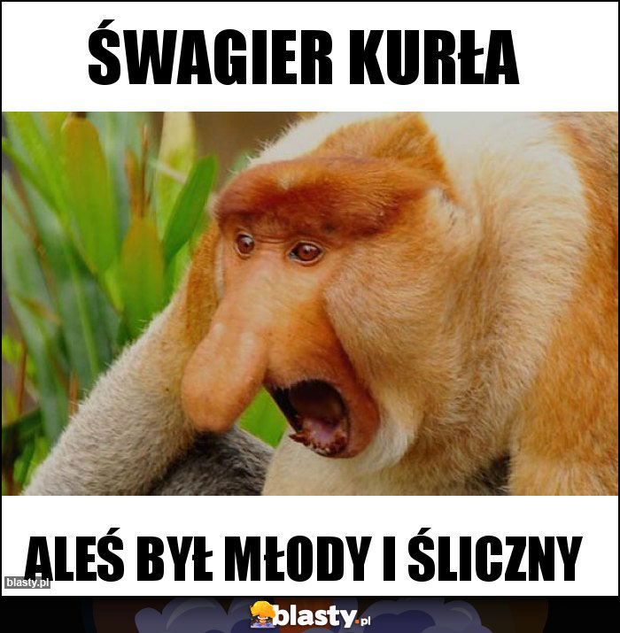 ŚWAGIER KURŁA