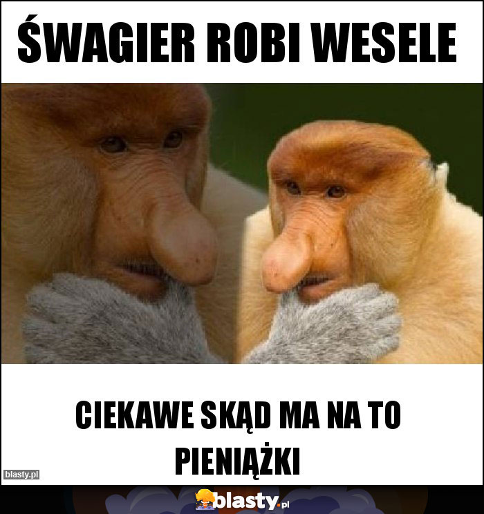 Śwagier robi wesele