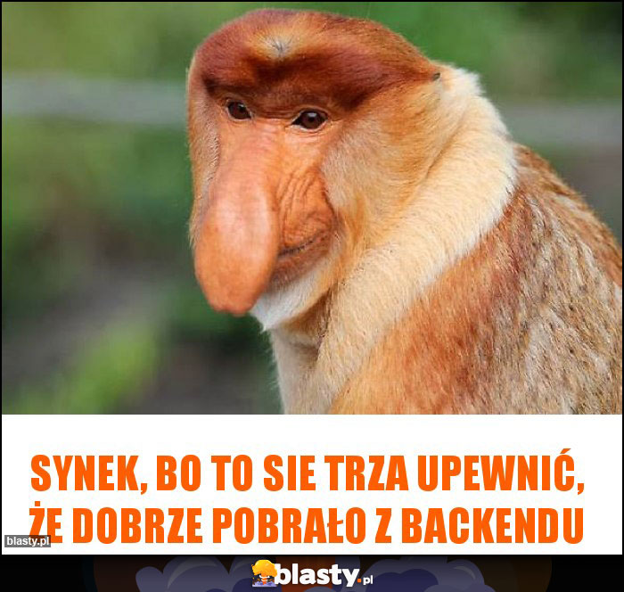 Synek, bo to sie trza upewnić, że dobrze pobrało z backendu