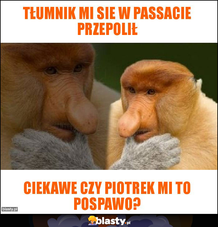 Tłumnik mi sie w passacie przepolił