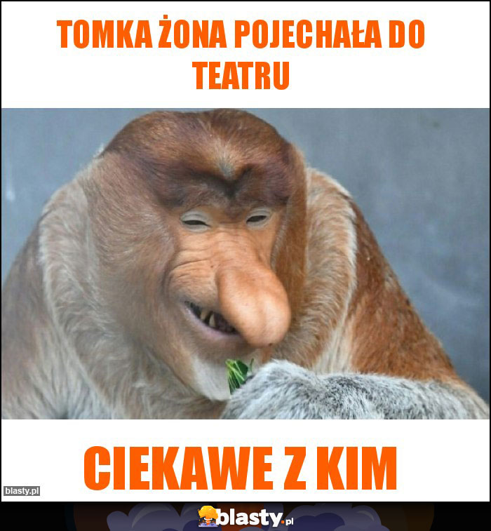 Tomka żona pojechała do teatru