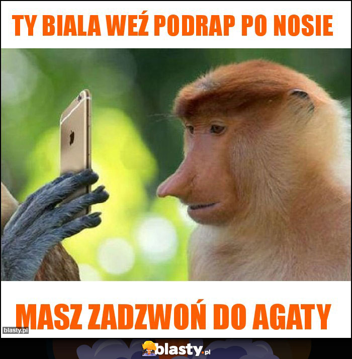 Ty biala weź podrap po nosie