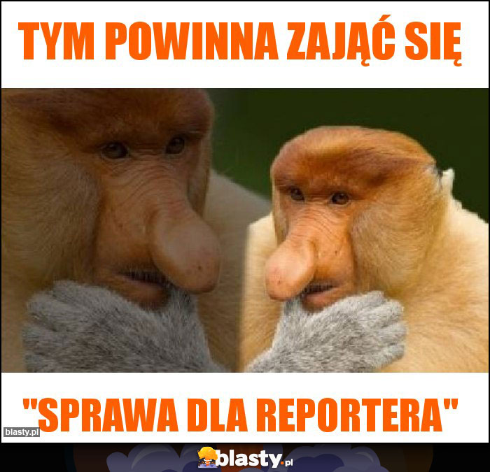 Tym powinna zająć się