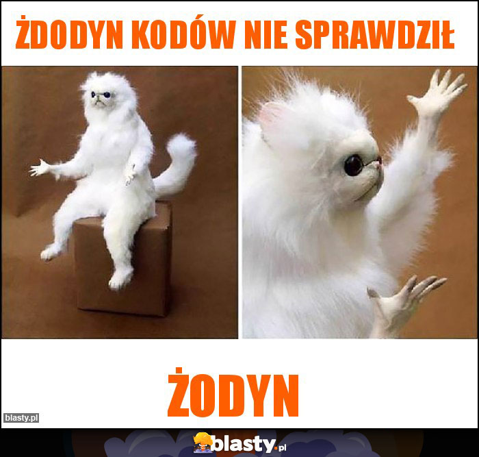 żdodyn kodów nie sprawdził