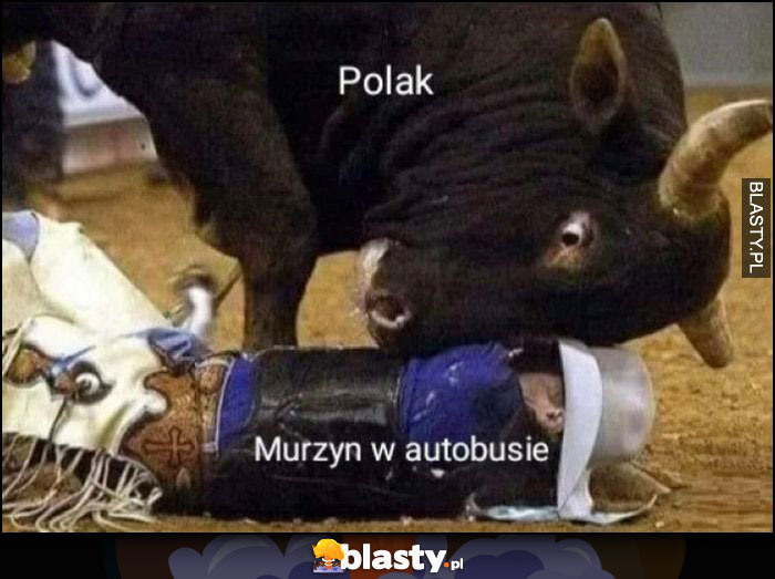 Polak vs murzyn w autobusie przygląda mu się z bliska byk toreador