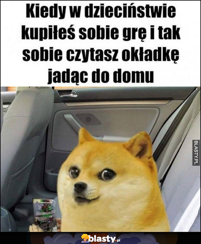 Kiedy w dzieciństwie kupiłeś sobie grę i tak sobie czytasz okładkę jadąc do domu pies pieseł doge