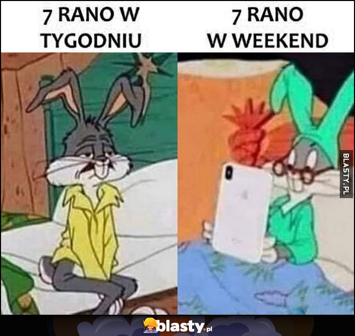 Ja o 7 rano w tygodniu nieprzytomny vs o 7 rano w weekend wyspany królik Bugs