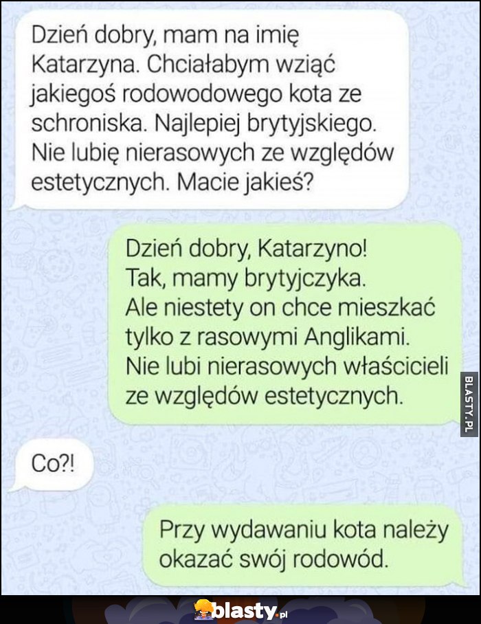 Chciałabym rodowodowego kota ze schroniska, najlepiej brytyjskiego, mamy brytyjczyka, ale on chce mieszkać tylko z rasowymi Anglikami, przy wydawaniu kota należy okazać swój rodowód