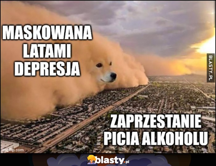 Maskowana latami depresja vs zaprzestanie picia alkoholu burza pieskowa pies pieseł doge piesek