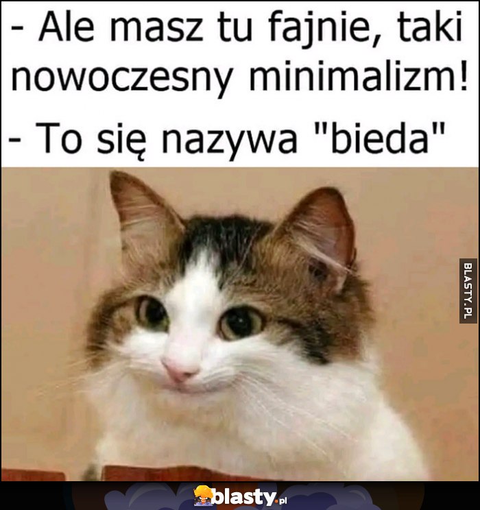 Ale masz tu fajnie, taki nowoczesny minimalizm, to się nazywa bieda kot kotek