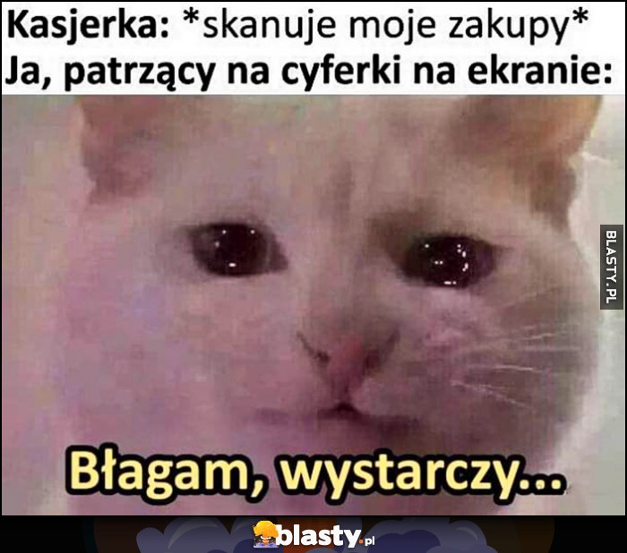 Kasjerka: skanuje moje zakupy. Ja patrzący na cyferki na ekranie: błagam, wystarczy. Kot kotek płacze