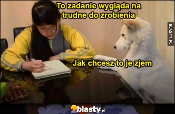 To zadanie wygląda na trudne do zrobienia, pies: jak chcesz to je zjem