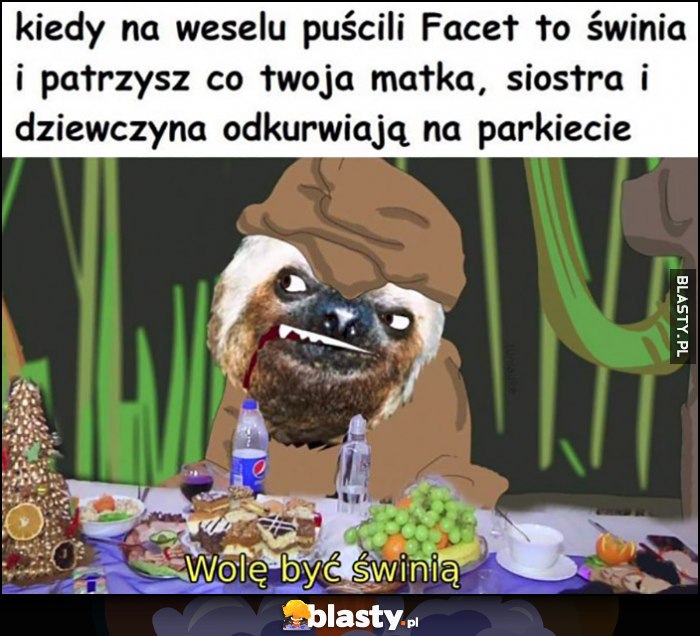 Kiedy na weselu puściliu Facet to świnia i patrzysz co twoja matka, siostra i dziewczyna odwalają na parkiecie, wolę być świnią