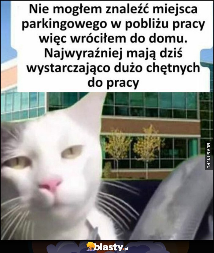 Kot kotek nie mogłem znaleźć miejsca parkingowego w pobliżu pracy więc wróciłem do domu, najwyraźniej mają dziś wystarczająco dużo chętnych do pracy