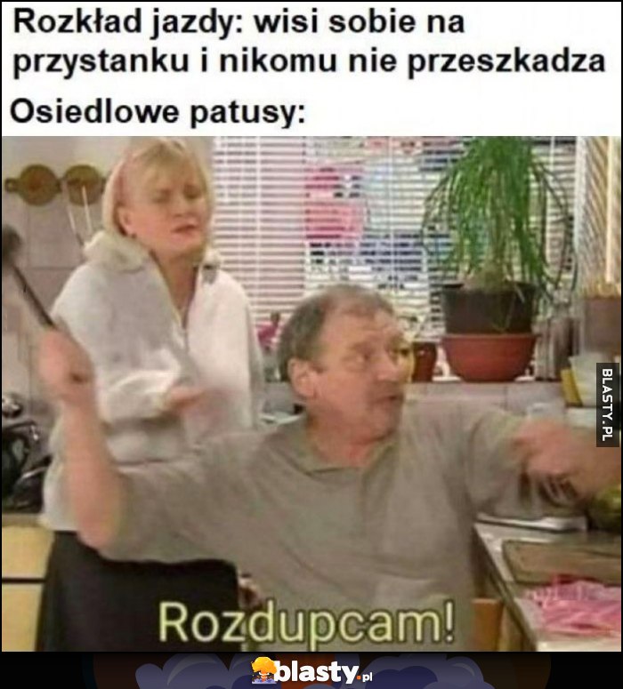 Rozkład jazdy: wisi sobie na przystanku i nikomu nie przeszkadza vs osiedlowe patusy: rozdupcam