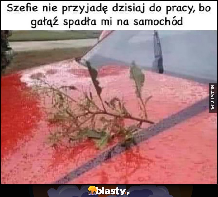 Szefie nie przyjadę dzisiaj do pracy, bo gałąź spadła mi na samochód