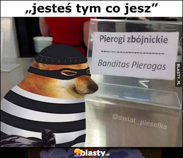 Jesteś tym co jest pierogi zbójnickie pies pieseł doge