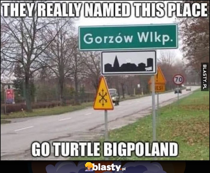 Gorzów Wielkopolski naprawdę nazwali to miejsce Go turtle bigpoland