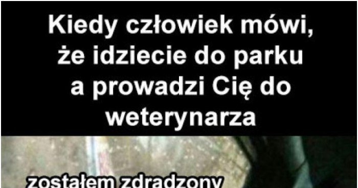 Kiedy Człowiek Mówi: