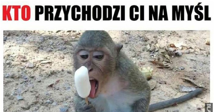 Kto Przychodzi Ci Na My L Gdy Widzisz Te Zdj Cie Memy Gify I Mieszne Obrazki Facebook Tapety