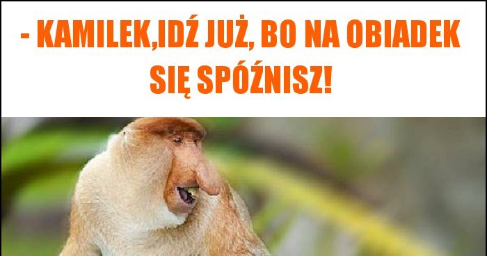 - Kamilek,idź już, bo na obiadek się spóźnisz! memy, gify i śmieszne ...