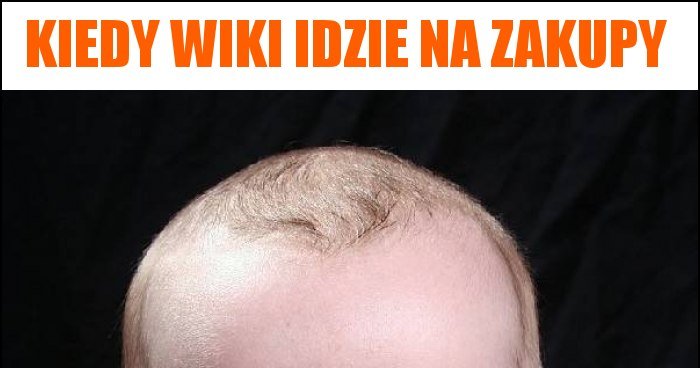 Kiedy Wiki idzie na zakupy memy gify i śmieszne obrazki facebook tapety demotywatory zdjęcia