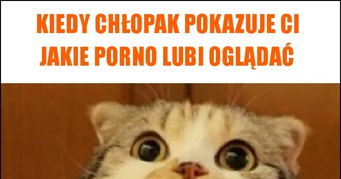 Kiedy Ch Opak Pokazuje Ci Jakie Porno Lubi Ogl Da Memy Gify I