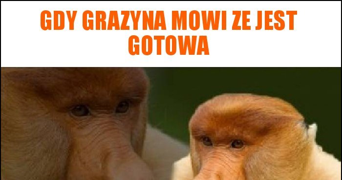 Gdy Grazyna Mowi Ze Jest Gotowa Memy, Gify I śmieszne Obrazki Facebook ...