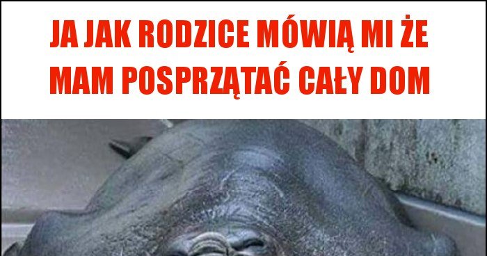 Ja Jak Rodzice Mówią Mi że Mam Posprzątać Cały Dom Memy Y I śmieszne Obrazki Facebook 4976