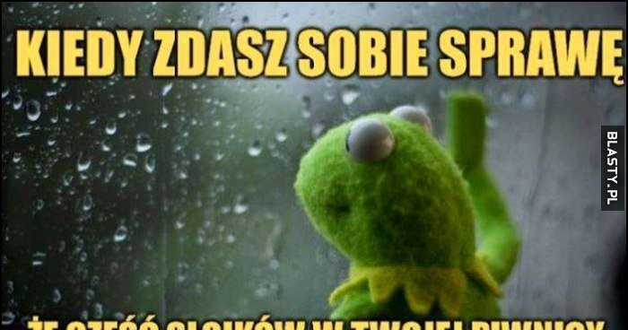 Zaba Kermit Mieszne Memy I Demotywatory Facebook Zaba Kermit Zabawne My Xxx Hot Girl 9313