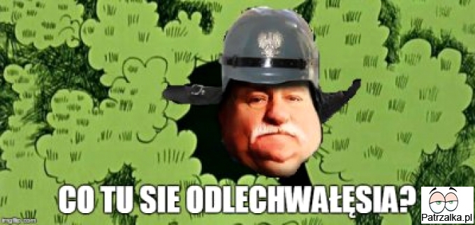 Co tu się odlechwałęsia ?