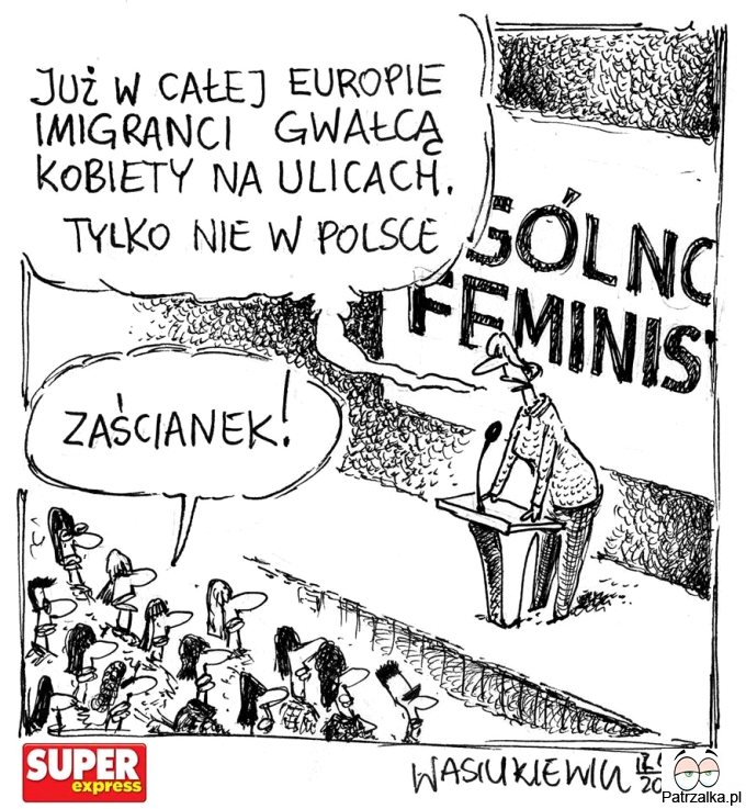 Już w całej Europie imigranci gwałcą kobiety na ulicach, tylko nie w Polsce