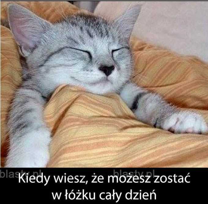 Kiedy wiesz, że możesz zostać w łóżku cały dzień