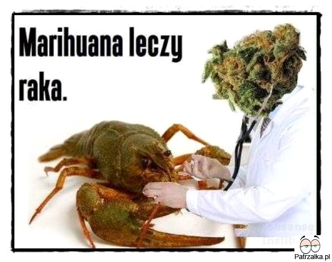 Marihuana leczy raka