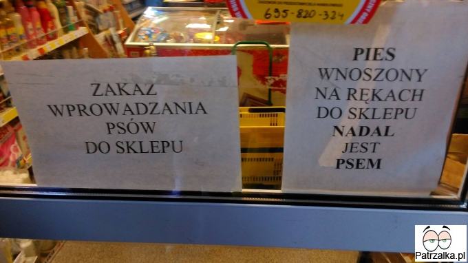 Zakaz wnoszenia psów do sklepu