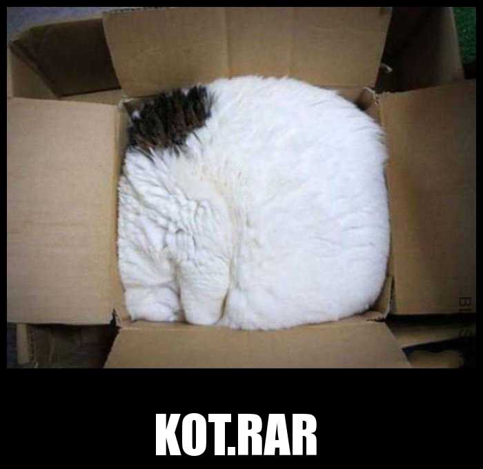 catbox